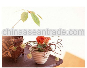 High quality Waterproof canvas