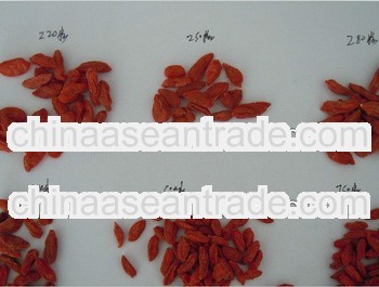 High quality china wolfberry/EU standard dried china wolfberry