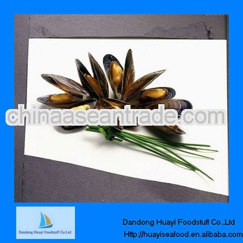 High quality frozen mussel