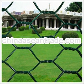 High quality hexagonal wire mesh(factory)