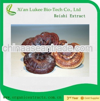 High quality reishi mushroom extract polysaccharides