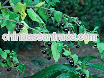 High reputation belladonna extract