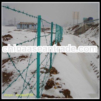 Hot-Dipped Galvanized Barbed Wire/Tie Wire/Twist Tie Wire