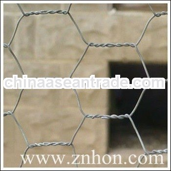Hot sale hexagonal wire mesh ( ISO9001 factory)
