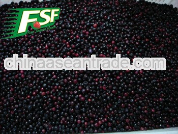 IQF blueberry 2013 crop wild grade A