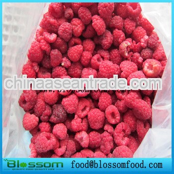 IQF quick frozen raspberry whole Grade A