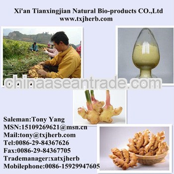 ISO Factory Supply Hight Quality 100% Pure Natural Ginger Powder