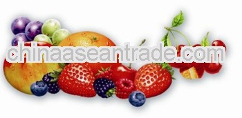 Instant Fruit Juice Powder