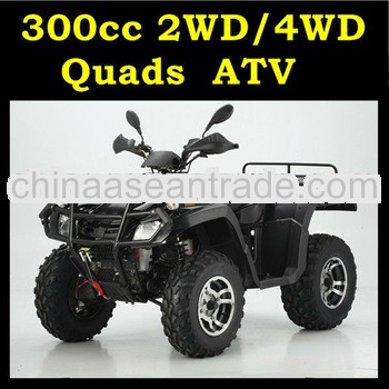 JUNBO 300cc 4WD dune buggy with EEC
