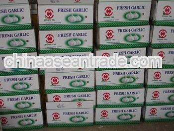 Jining Chilled Garlic 2013 New Crop