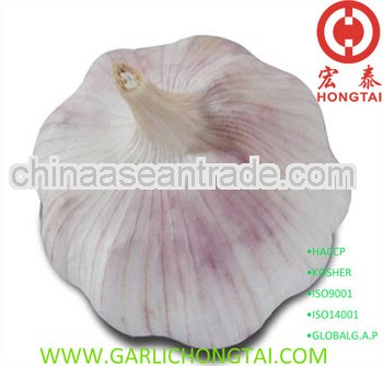 Jining Fresh Common White Garlic Price
