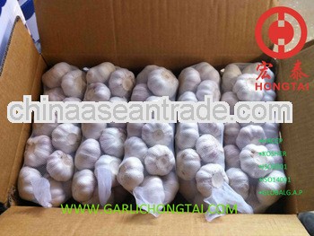 Jinxiang Fresh Garlic 6.0CM Price