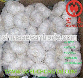 Jinxiang Pure White Garlic 6.0CM Price