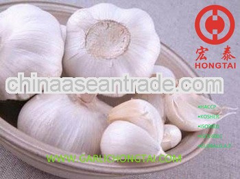 Jinxiang Pure White Garlic 6.5CM Price