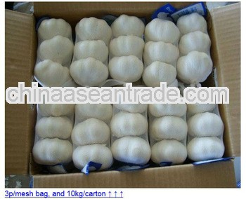 LW-2013 Fresh CHINESE Garlic