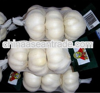 LW-2013 jinxiang garlic wholesale