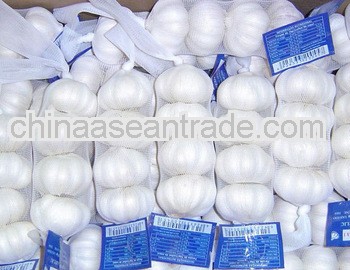 LW-New Crop Chinese Fresh Pure White Garlic