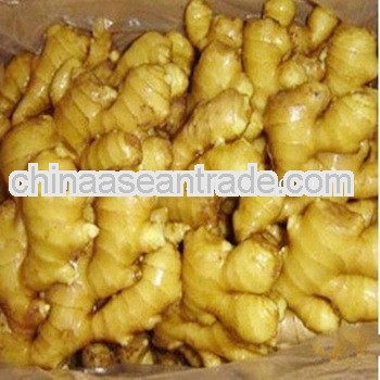 Laiwu ginger,anqiu ginger,ginger price