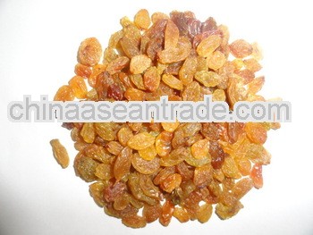 Light Brown Raisin Maliyar A++ for Mali