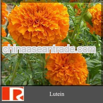 Marigold Extract 5%-80% Lutein ,Zeaxanthin,xanthin