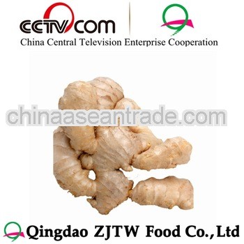 Market Prices For Chinese mature Ginger