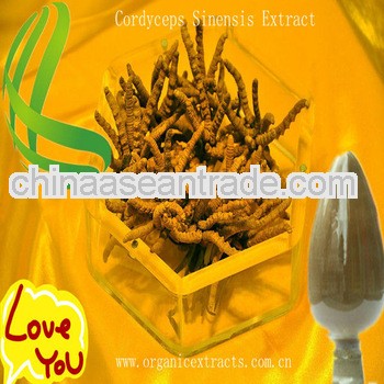 Natural Cordyceps Sinensis Extract