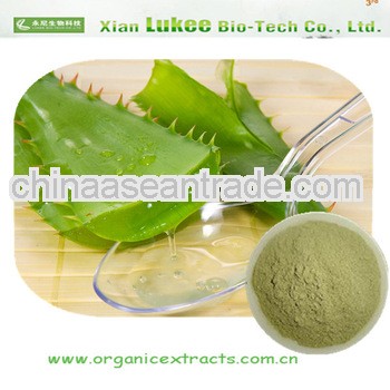 Natural Manufacturer hot sale aloe vera powder