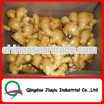 Natural Yellow Fresh Chinese Ginger Price