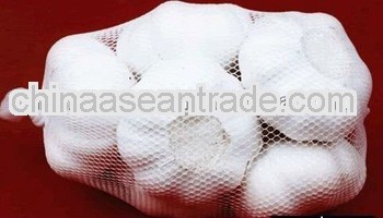 Natural garlic 2013 big garlic