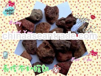 Natural lava rock/stone