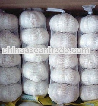 New Corp Grade A wholesale white garlic