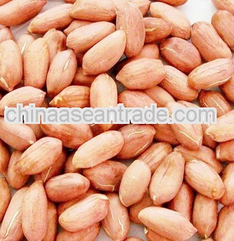 New Crop 2012 Chinese Raw Peanut Kernel 24/28