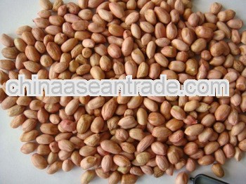 New Crop Peanuts for Morocco