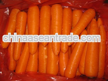 New corp fresh carrots