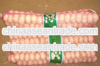 New seasonable fresh garlic 2013 garlic shandong