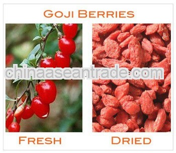 Ningxia goji berry