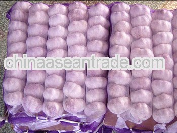 Normal white garlic 4cm