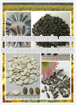 Oil Seed First class Reasonable sunflower seed mill