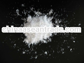 PP Monofilament Fiber