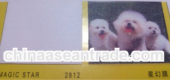 PVC cold lamination film/magic style/photo protective film