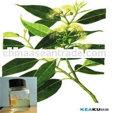 Pine Essential Oil. 10 ml. 100% Pure, Undiluted, Therapeutic Grade