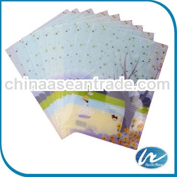 Plastic document folders, Customized Thickness, Sizes and Designs are Accepted