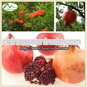 Pllution-free fram fresh Pomegranate for sell