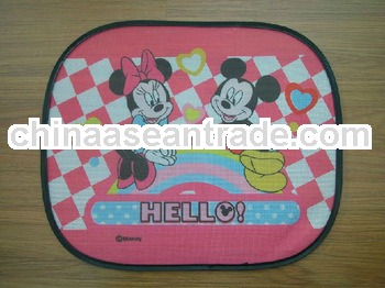 Polyester mesh Retractable Lateral Window Shades