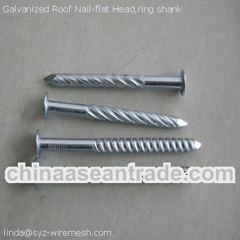 Popular 2.5"x9G galvanized flat head twisted shank roof nail