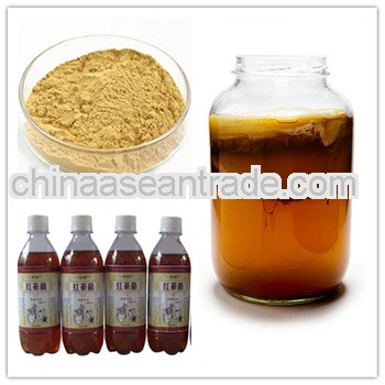 Powerful Health Drink Black Tea Fungus Kombucha Tea
