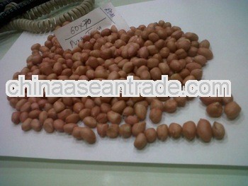 Premium Quality Peanuts for Honduras