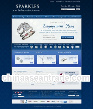 Professioanl designer make webpage and internet shop