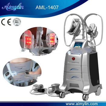 Professional 4 handles cryolipolysis equipment
