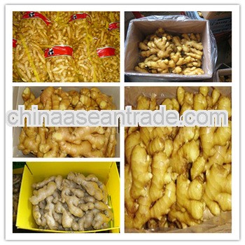 Professional Fresh Ginger-Half Dry Ginger-Air Dry Ginger